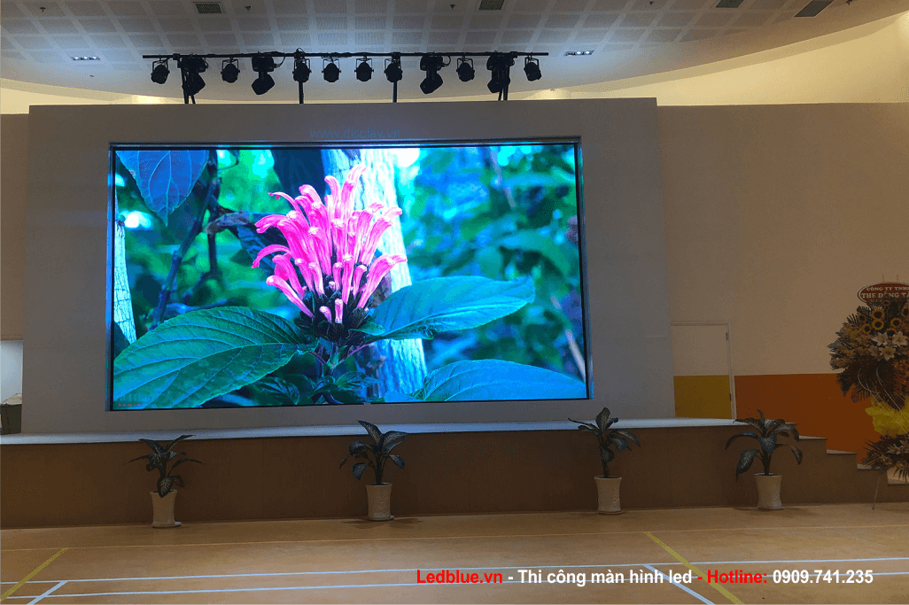 cho thuê màn hình led tại nha trang khánh hòa