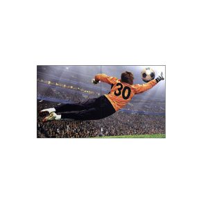 Màn hình ghép LG 49 inch - 55 inch chính hãng