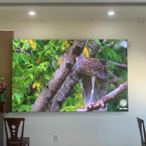 Màn hình LED P3.91 trong nhà
