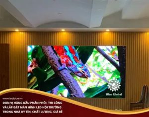 Màn Hình Led